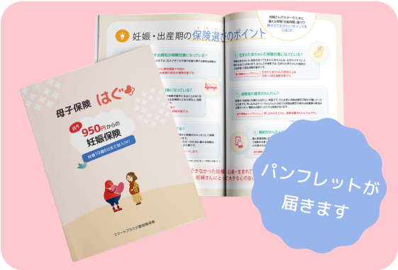 母子保険はぐ+(プラス)パンフレット